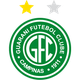 巴西瓜拉尼logo